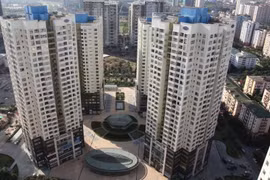 Vinaconex 9 liên tiếp báo lỗ, chậm đóng BHXH cho người lao động