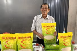  Lúa ST25 có thể trồng ở nhiều vùng