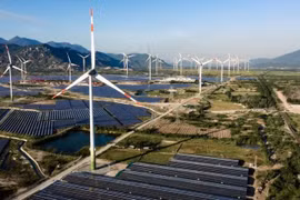 Hội đồng thẩm định thông qua Quy hoạch điện VIII 