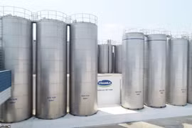 Chiến lược để dẫn đầu thị trường của “triệu phú sữa tươi Việt Nam”