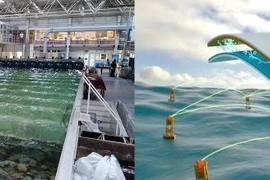 Máy phát điện nano thu năng lượng từ sóng biển