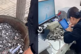 Mất 7 ngày để... đếm tiền mừng cưới