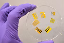  Hình xăm OLED phát sáng