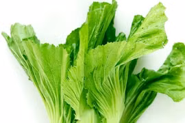 Hạt cải bẹ xanh trị nhiều bệnh