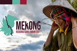 Diễn đàn Đất đai Mekong lần thứ 3 sẽ được tổ chức bằng hình thức online
