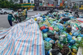 Rác thải chất đống ở Hạ Long