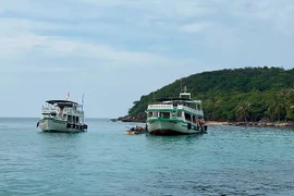 Vùng đồng bằng sông Cửu Long trở thành môi trường thuận lợi phát triển nguồn lợi thủy sản phong phú nhất tại Việt Nam.