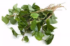 Cách dùng diếp cá chữa sốt xuất huyết