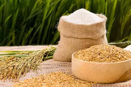 Xuất khẩu gạo khó chạm đích 3 tỷ USD