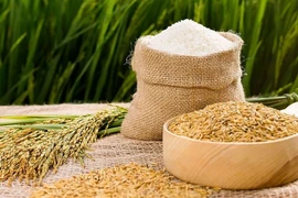 Xuất khẩu gạo khó chạm đích 3 tỷ USD