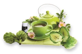 Phục hồi chức năng gan theo YHCT