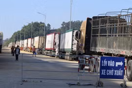 Trung Quốc dừng thông quan cửa khẩu Ái Điểm 