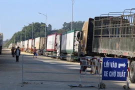 Trung Quốc dừng thông quan cửa khẩu Ái Điểm 