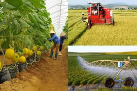 Phấn đấu 5.000 hợp tác xã công nghệ cao vào năm 2030