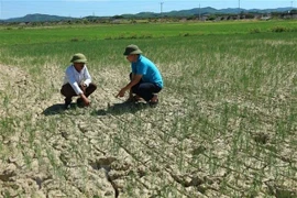 Bắc Bộ và Trung Bộ nắng nóng diện rộng, có nơi trên 38 độ C