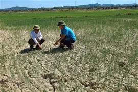 Bắc Bộ và Trung Bộ nắng nóng diện rộng, có nơi trên 38 độ C