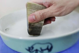 Ngộ độc vì sừng tê giác