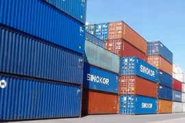 Hơn 100 container hàng bị "bỏ quên" tại cảng Cát Lái