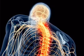 Loại thuốc mới cho điều trị phục hồi chấn thương tủy sống 