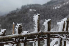 Hà Nội rét nhất 2 năm, nguy cơ núi cao có tuyết