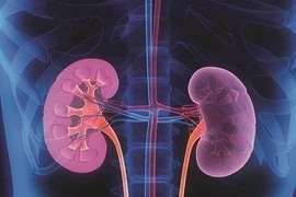 Bị suy thận độ 1 có phục hồi được không?