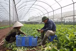 4 địa danh Hà Nội được sử dụng bảo hộ nhãn hiệu tập thể