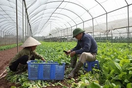 4 địa danh Hà Nội được sử dụng bảo hộ nhãn hiệu tập thể