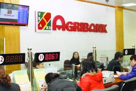 Phục hồi điều tra vụ sai phạm hơn 300 tỷ đồng Agribank Cần Thơ