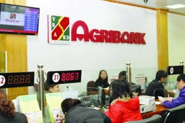 Phục hồi điều tra vụ sai phạm hơn 300 tỷ đồng Agribank Cần Thơ