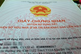 Những chính sách nổi bật có hiệu lực từ tháng 2