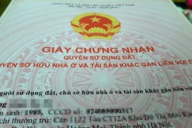 Những chính sách nổi bật có hiệu lực từ tháng 2