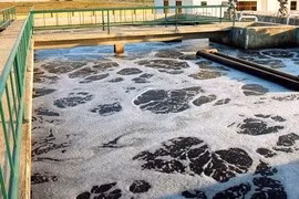 Xử lý nước thải không dùng hóa chất