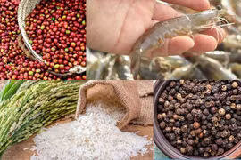 Công bố 13 sản phẩm nông nghiệp chủ lực quốc gia