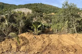 Đà Nẵng: Điều tra vụ khai thác đất dọc cao tốc La Sơn-Túy Loan