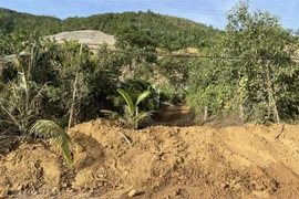 Đà Nẵng: Điều tra vụ khai thác đất dọc cao tốc La Sơn-Túy Loan