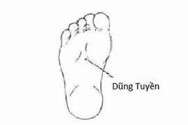 Đắp thuốc huyệt dũng tuyền chữa u xơ tiền liệt tuyến