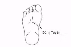 Đắp thuốc huyệt dũng tuyền chữa u xơ tiền liệt tuyến