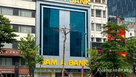 Xung đột gia đình tạm lắng, Nam A Bank vẫn chênh vênh cùng nợ xấu