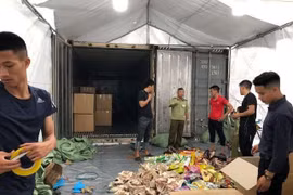 Bắt lô sản phẩm giả đội lốt hàng xách tay 