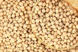 Đậu nành ngừa ung thư