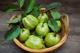 Lá ổi giúp kiểm soát tiểu đường và cholesterol máu