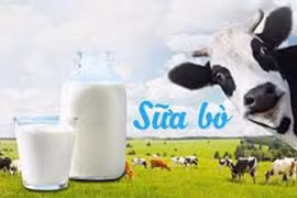 Sữa bò phòng cao huyết áp, ung thư