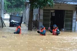 Mưa lớn nước ngập ngang người, TP Hà Giang "thất thủ"