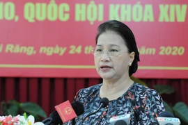 Chủ tịch Quốc hội: Chưa thể nói vụ án Hồ Duy Hải có oan sai hay không