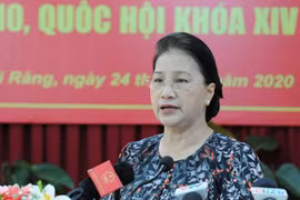 Chủ tịch Quốc hội: Chưa thể nói vụ án Hồ Duy Hải có oan sai hay không