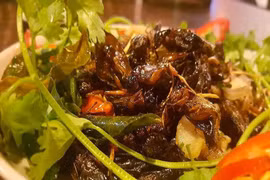 Ăn côn trùng tốt cho đường ruột