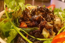 Ăn côn trùng tốt cho đường ruột