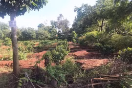 Đắk Lắk: Dân điêu đứng vì “cò” thổi giá đất