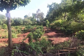 Đắk Lắk: Dân điêu đứng vì “cò” thổi giá đất