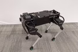 Laikago, robot 4 chân18-DoF, được sử dụng trong thử nghiệm. Ảnh Google